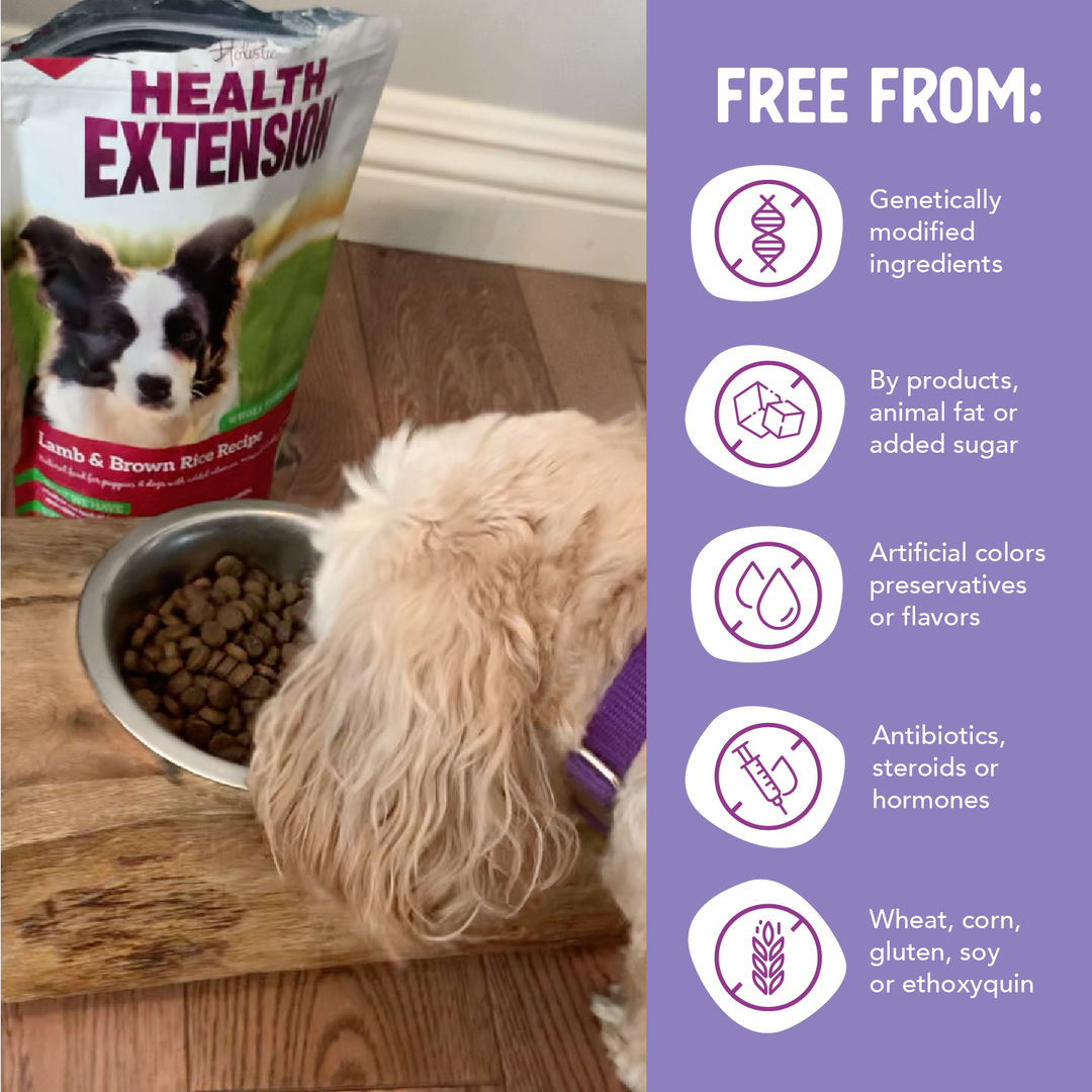 Health Extension Pet Care - Lamb & Brown Rice Recipe: 15 lbs