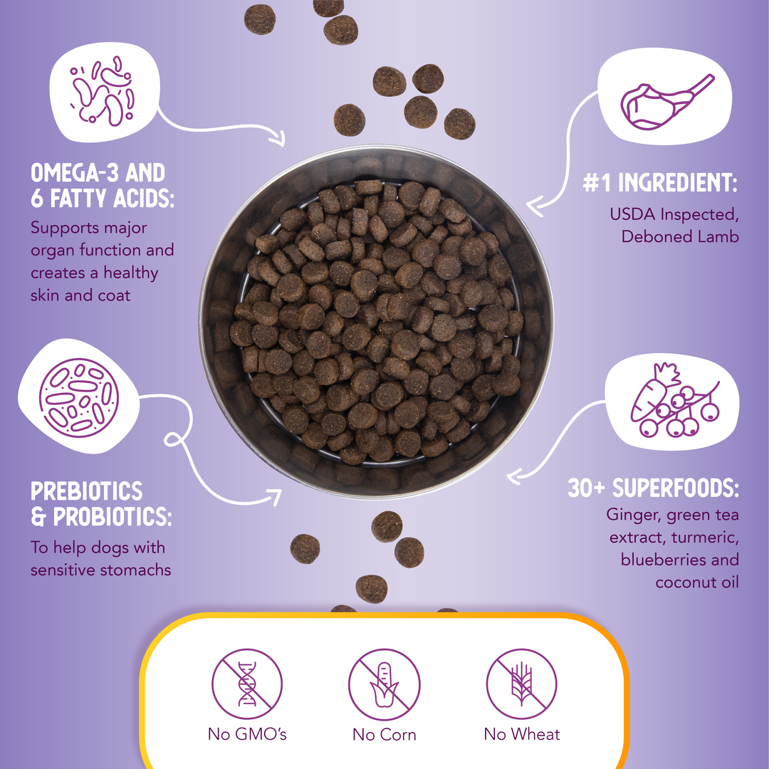 Health Extension Pet Care - Lamb & Brown Rice Recipe: 15 lbs