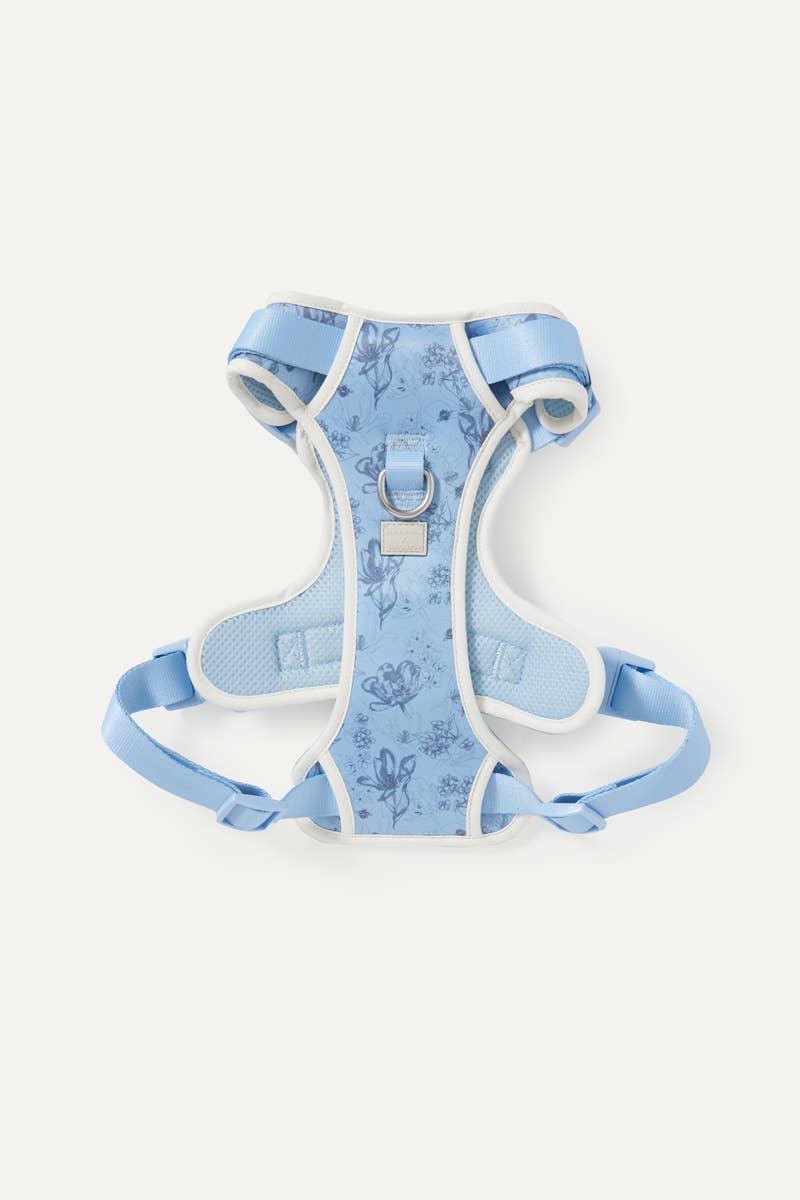 maxbone - Bridgerton x maxbone Walk Set for Dogs: Small