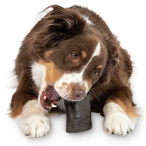 Klearwater Distribution - Water Buffalo Horn Dog Treat / Chew: Small