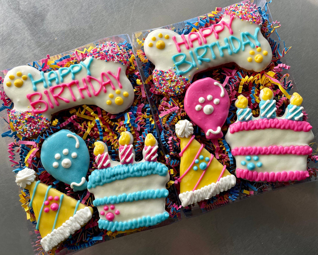 YumYum4DOGS - Happy Fiesta PAWTY Dog Treat (GIFT BOX): Happy birthday