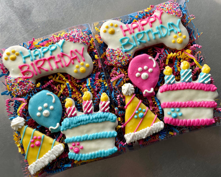 YumYum4DOGS - Happy Fiesta PAWTY Dog Treat (GIFT BOX): Happy gotchaDay