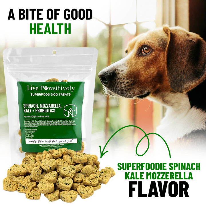 Live Pawsitive - Spinach, Mozzarella, Kale & Probiotics (soft dog treat)