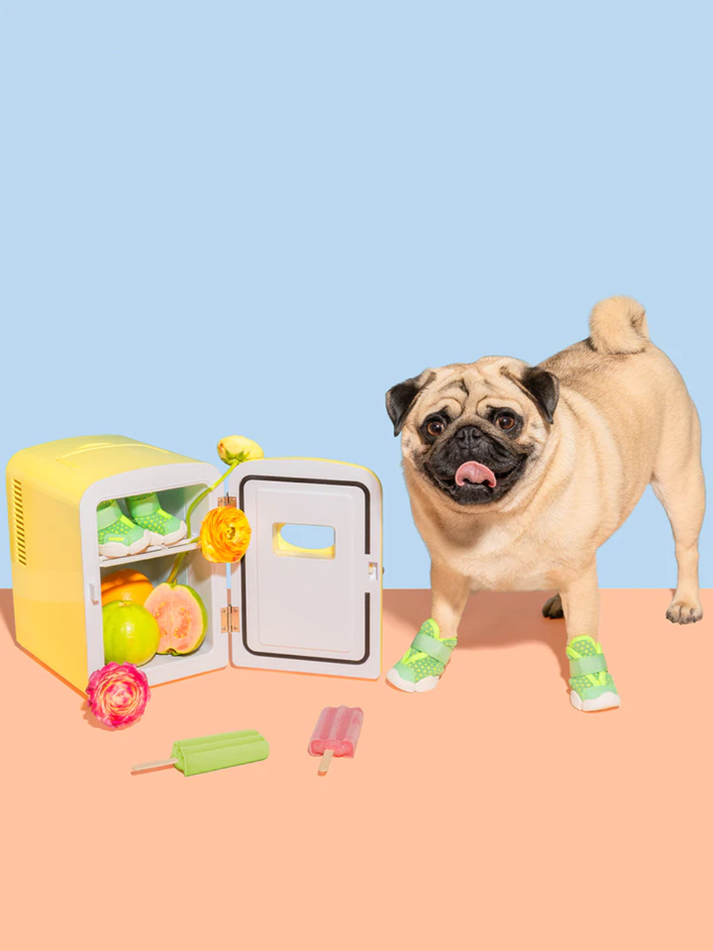 RIFRUF - Caesar 1S: Borough / 3/4