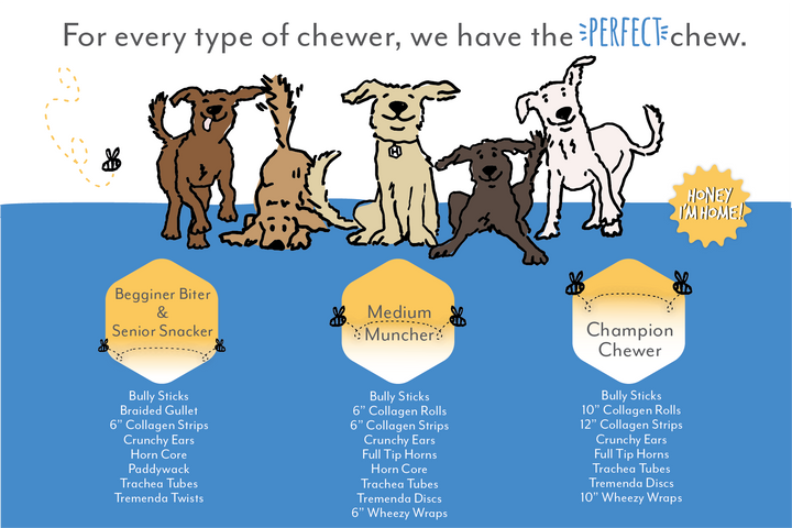 Honey I'm Home - Horn Core - Long-lasting Dog Chew