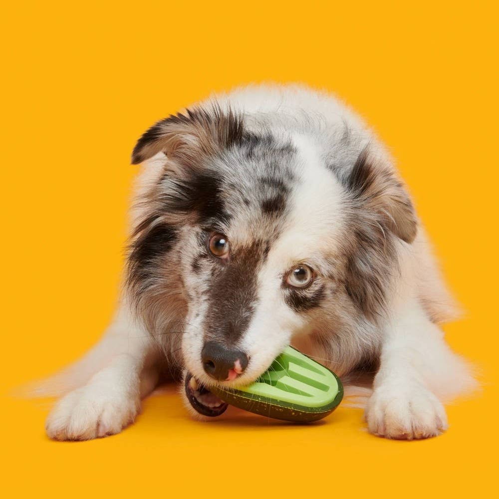 Pet Palette Distribution - BARK Avocadoggo Super Chewer Dog Toy