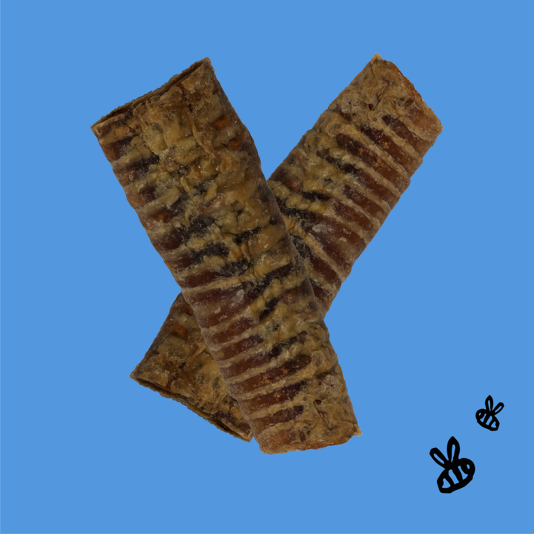 Honey I'm Home - TRACHEA TUBES