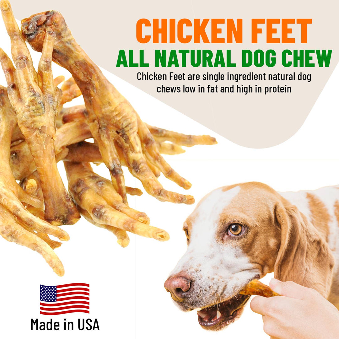 Live Pawsitive - Chicken Feet (10 Pack)