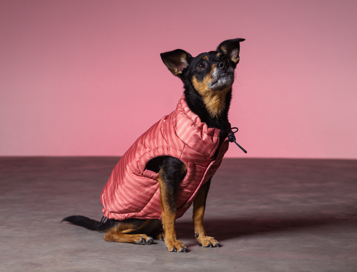 maxbone - Striped Easy Fit Jacket: Blue / XL