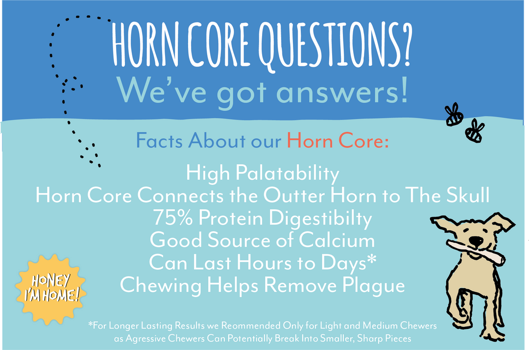 Honey I'm Home - Horn Core - Long-lasting Dog Chew