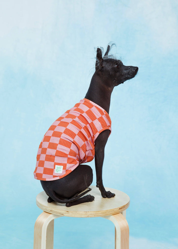 Toby & Linus - Marmalade Pet Tank: XL