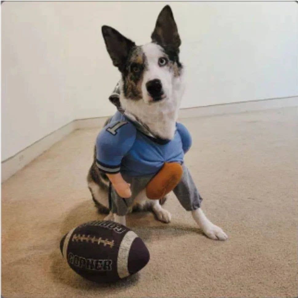 Show & Tail - Pet Apparel - QuarterBark: XS