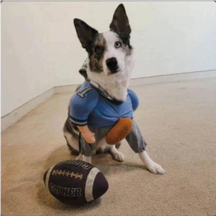 Show & Tail - Pet Apparel - QuarterBark: XS