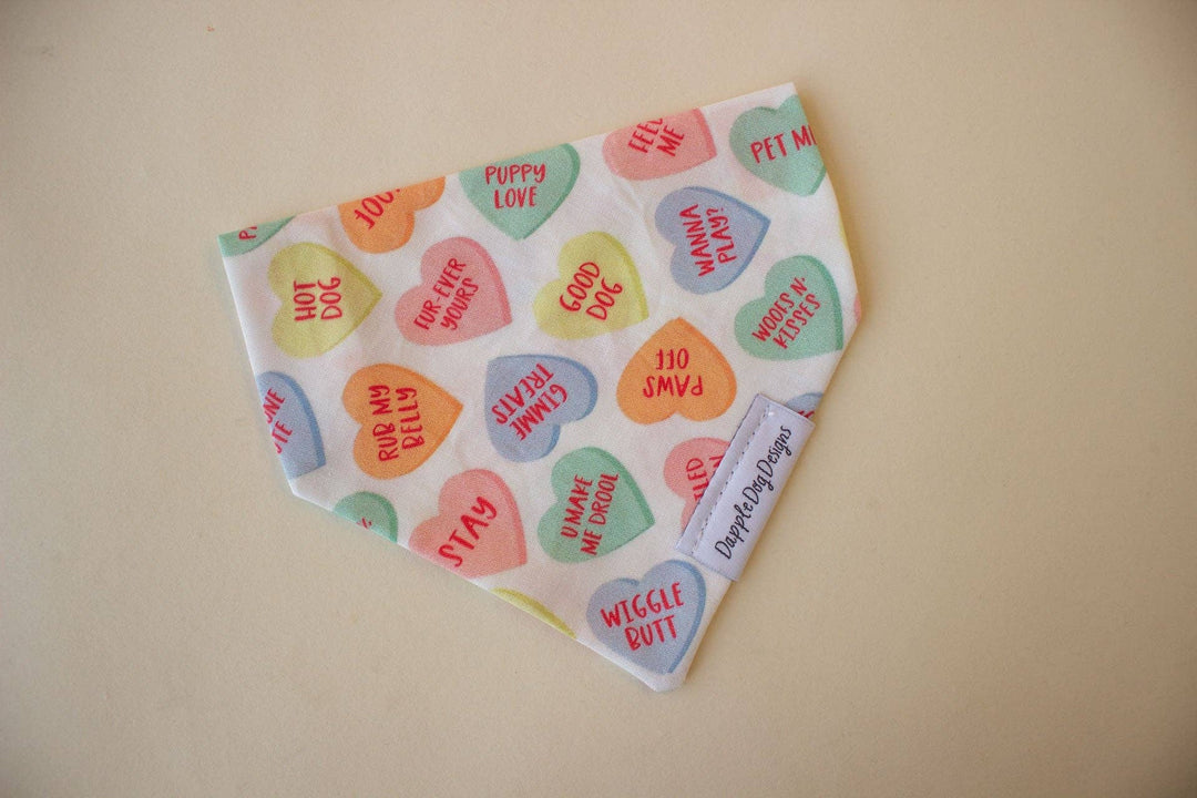 Dapple Dog Designs - Conversation Hearts Bandana - Valentine's Day Dog Bandana