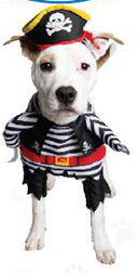 Show & Tail - Pet Apparel - Black Paw-Irate: L