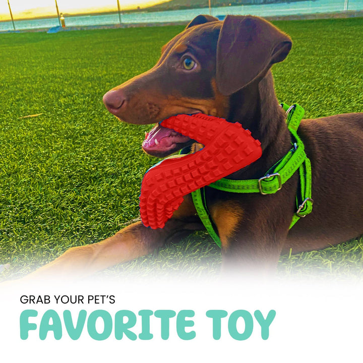 TOME DOG TOYS - SUPER DOG GIFT 3-Pack Dog Toys for Aggressive Chewers
