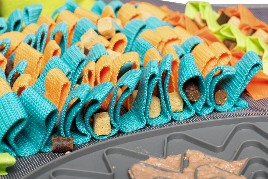 Pet Palette Distribution - Messy Mutts Square Forage/Snuffle Mat 16" with Suction