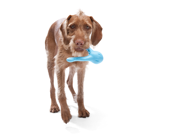 West Paw - Tizzi® Puzzle Treat-Dispensing Dog Enrichment Toy: S / Aqua Blue