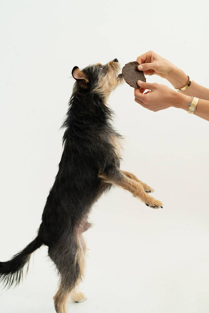 Winnie Lou - The Canine Co. - Bison Burger Jerky