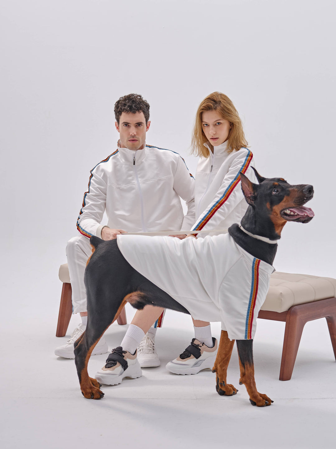 PEHOM - Pet Velvet Striped Jacket: S