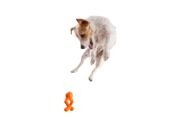 West Paw - Tizzi® Puzzle Treat-Dispensing Dog Enrichment Toy: S / Aqua Blue