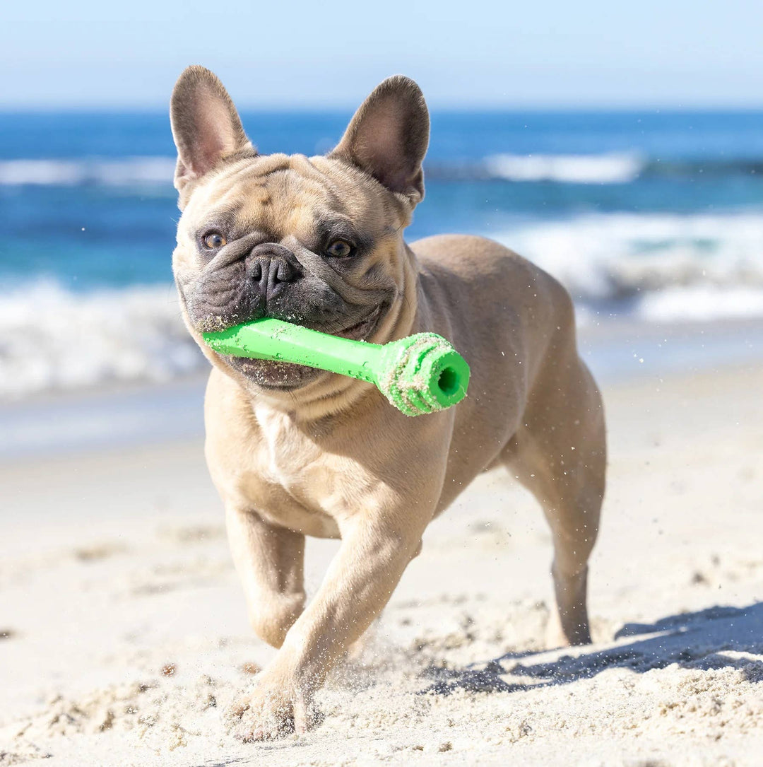 Pet Palette Distribution - Project Hive Tropical Coconut Scent Hive Fetch Stick Green