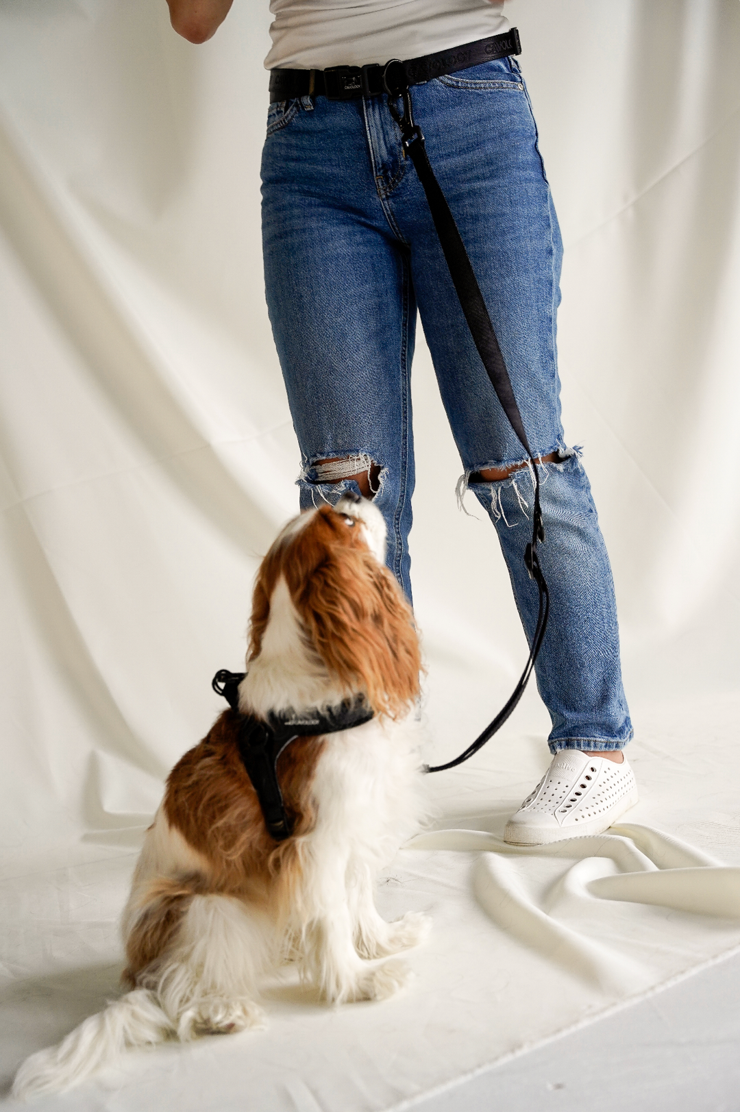 Cavology - DOG HARNESS STEP IN EASY ON MESH MANGO
