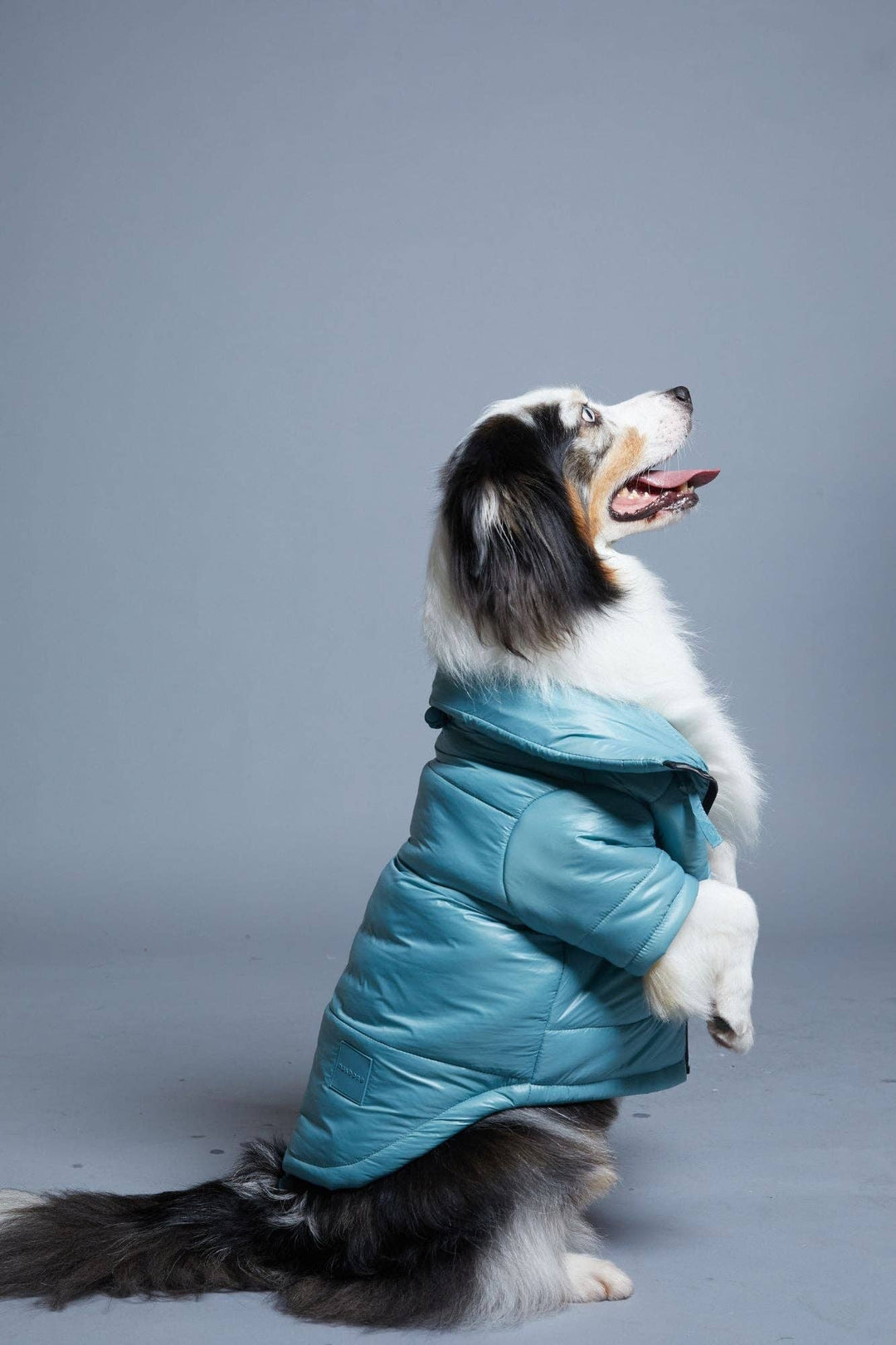 maxbone - Glossy Puffer Jacket: Teal / Medium