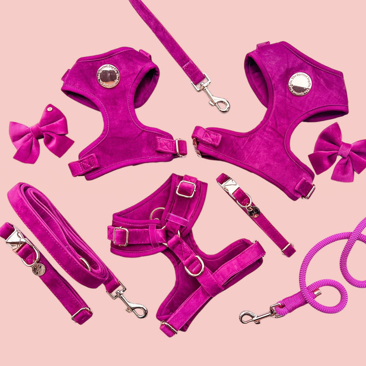 The Spotted Dog Company - Magenta Velvet Sailor Bow Tie