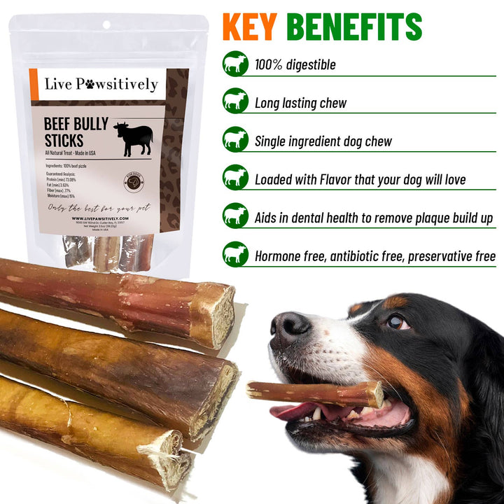 Live Pawsitive - 6 Inch Jumbo Bully Sticks 3 Pack