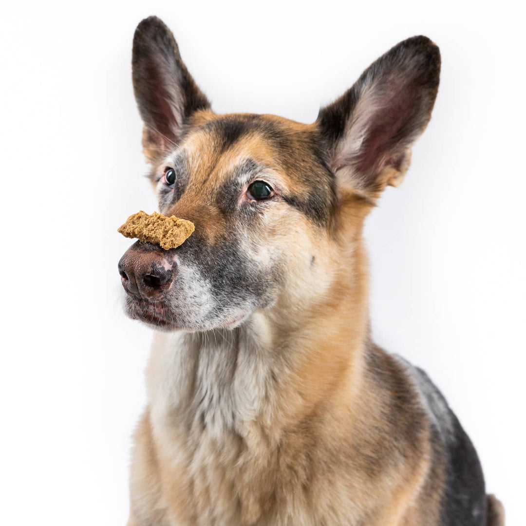 Peanut Butter & Honey Chewy Dog Treats, 1.5oz Case