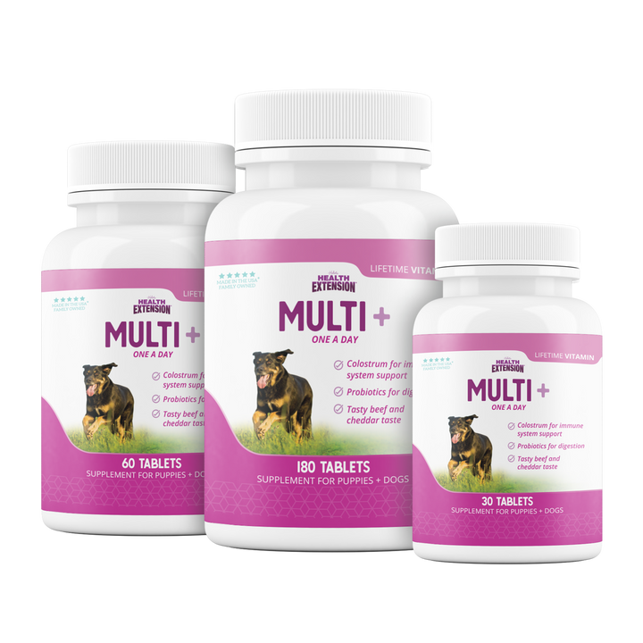 Multi + Lifetime Vitamins: 30 Count