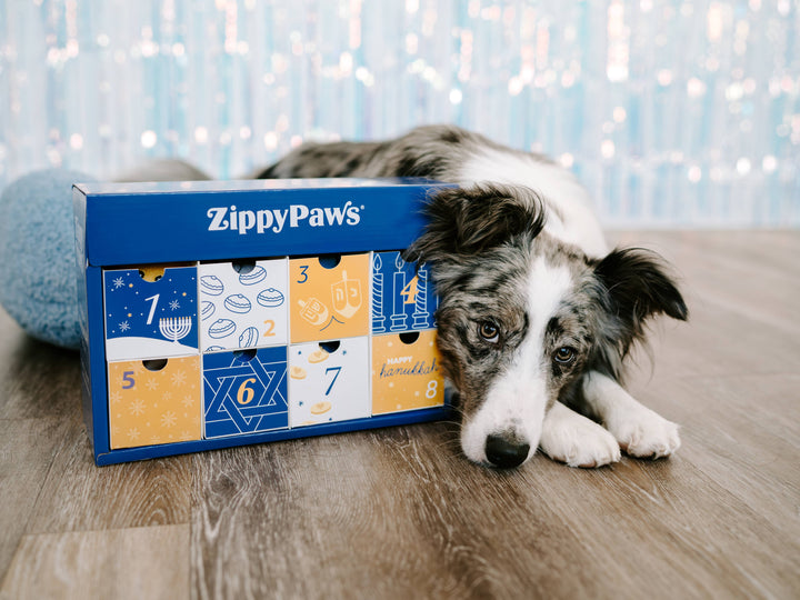 ZippyPaws - 8 Nights of Hanukkah Box - Holiday Dog Toy