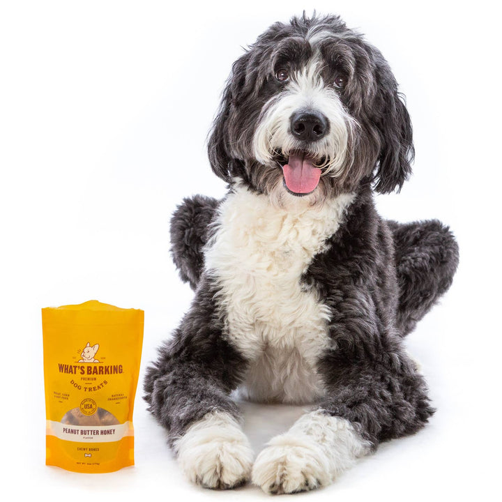 Peanut Butter & Honey Chewy Dog Treats, 1.5oz Case