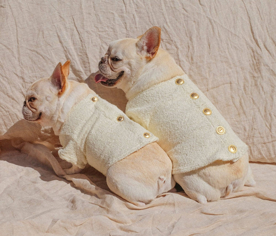 Saint Rue - Crème Terry Cloth Dog Shirt: Small