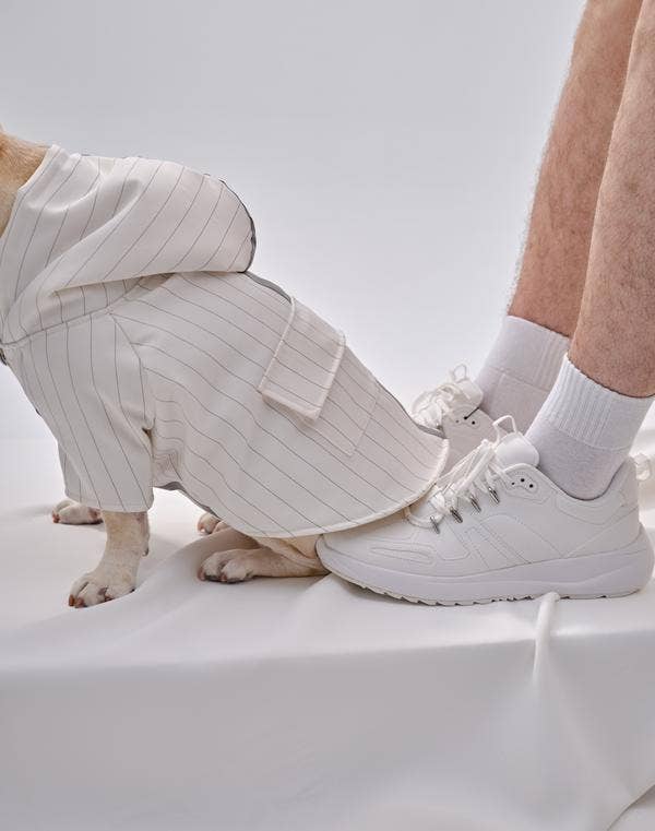 PEHOM - Pet Pehomie Reflective X Hoodie: S