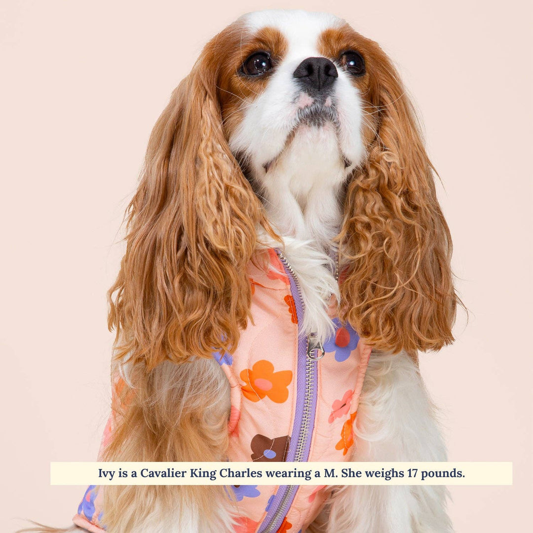 The Let's Groove Reversible Puffer Vest: X-Large