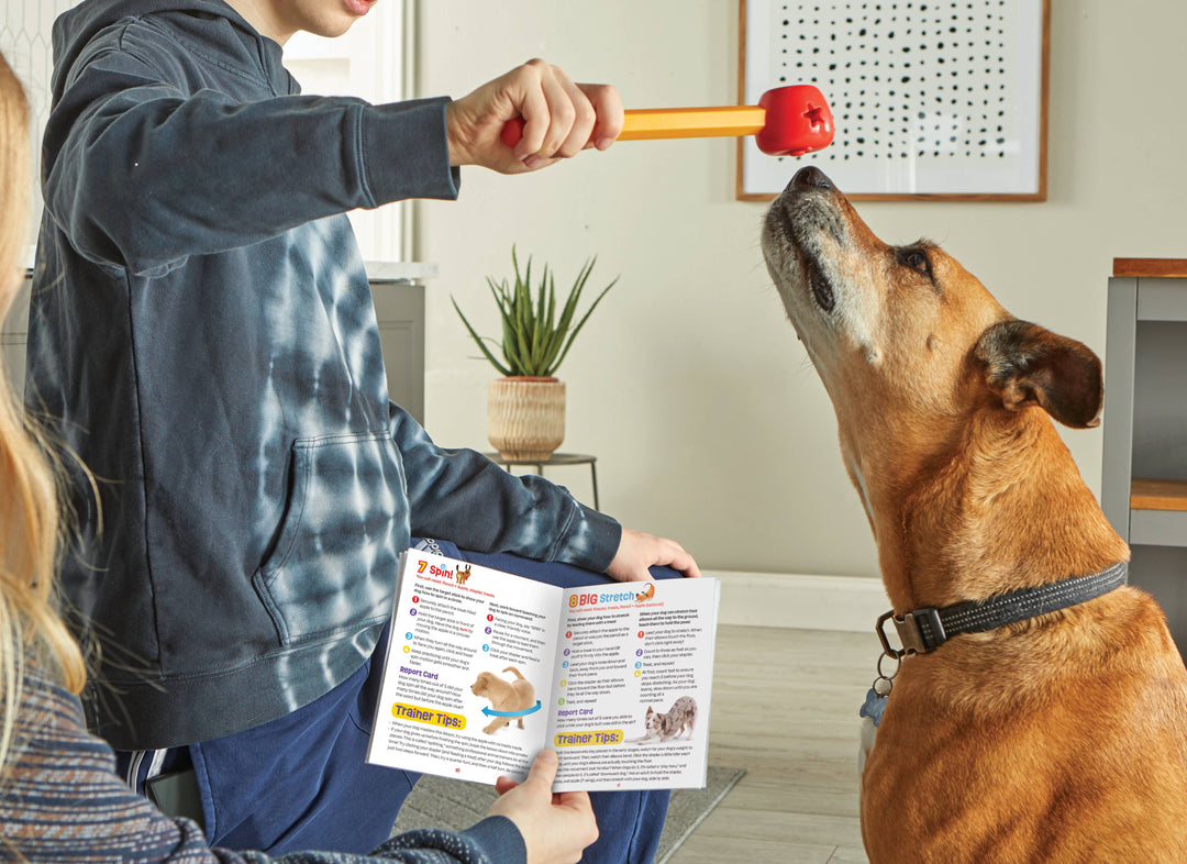 Hunger for Words and Brightkins - Brightkins™ Pooch School! Training Set