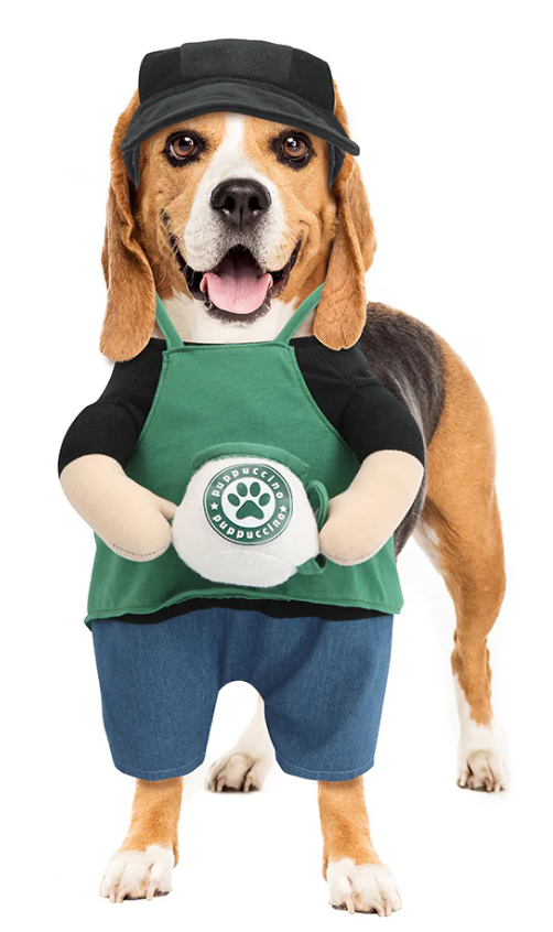 Show & Tail - Pet Apparel - Starbarks: XS