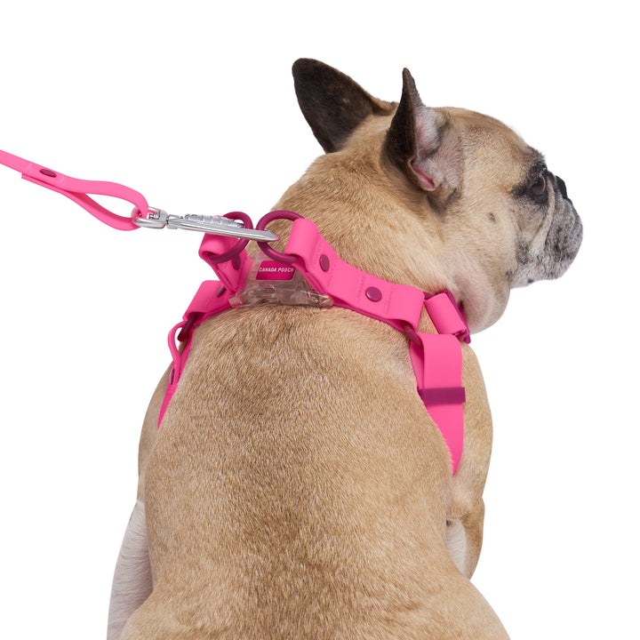 Canada Pooch - Waterproof Dog Harness (Pink)
