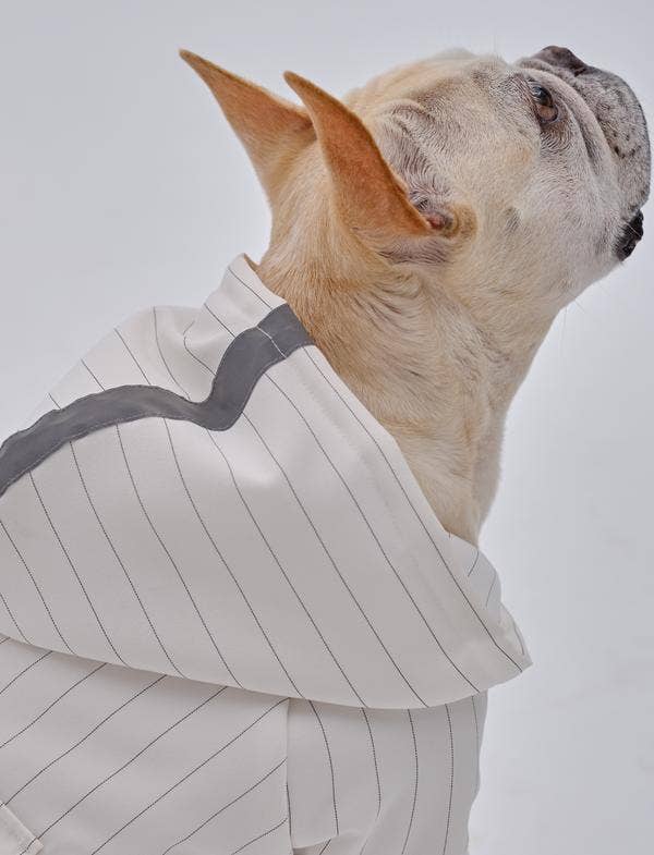 PEHOM - Pet Pehomie Reflective X Hoodie: L