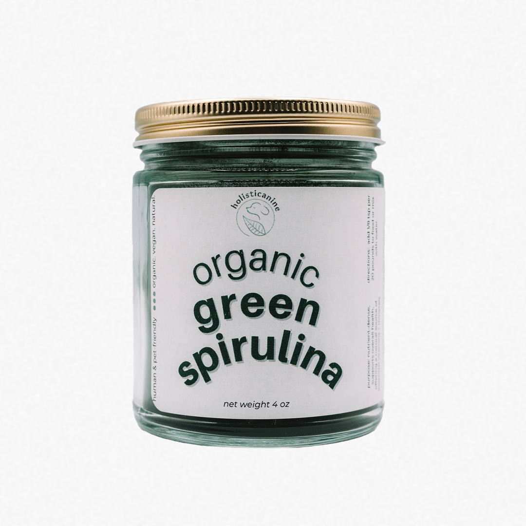 holisticanine - Organic Green Spirulina | Anti-Inflammatory and Antioxidant: Glass jar
