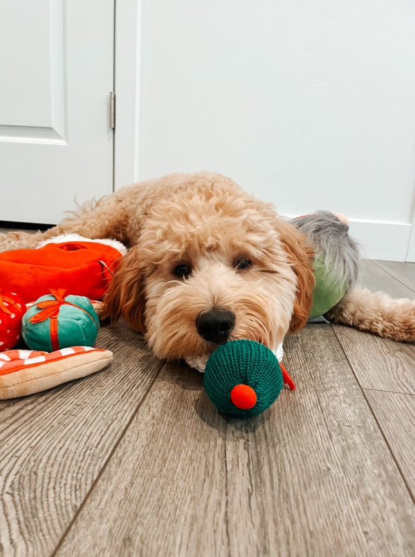 Midlee Designs - Midlee Find a Toy Christmas Stocking Dog Toy