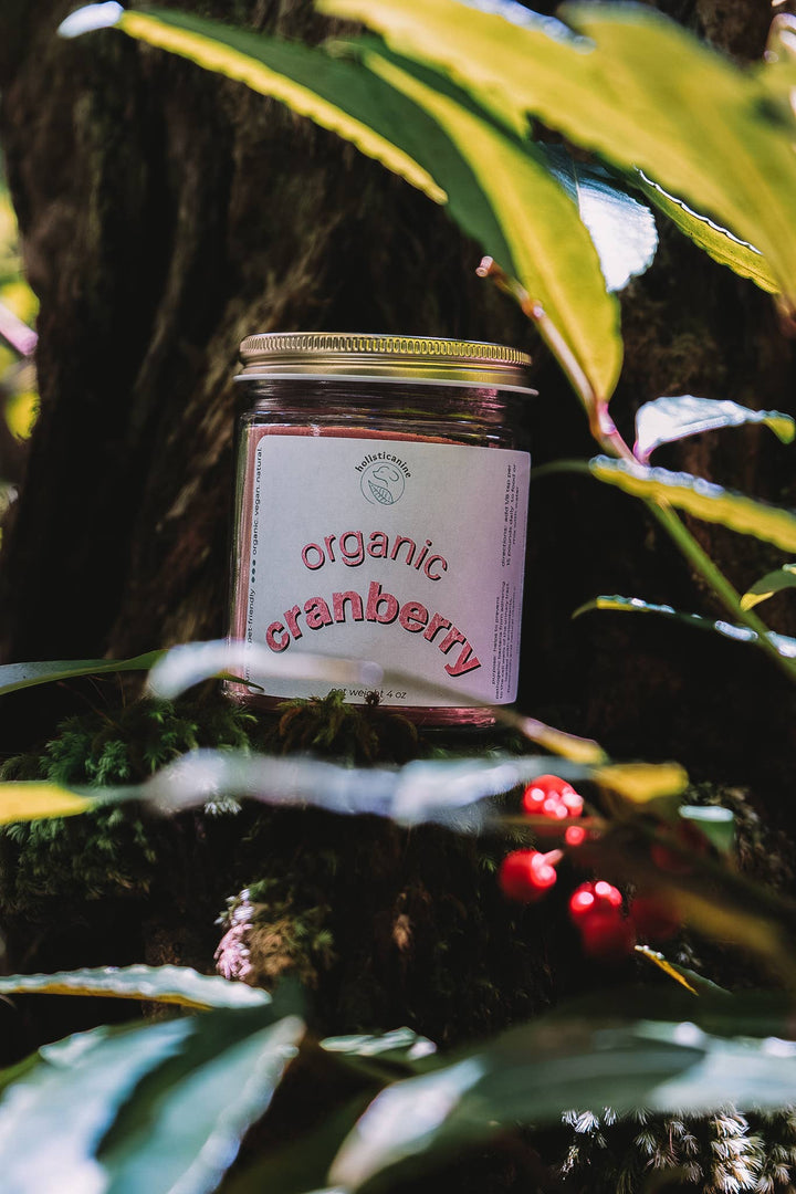 holisticanine - Organic Cranberry Supplement