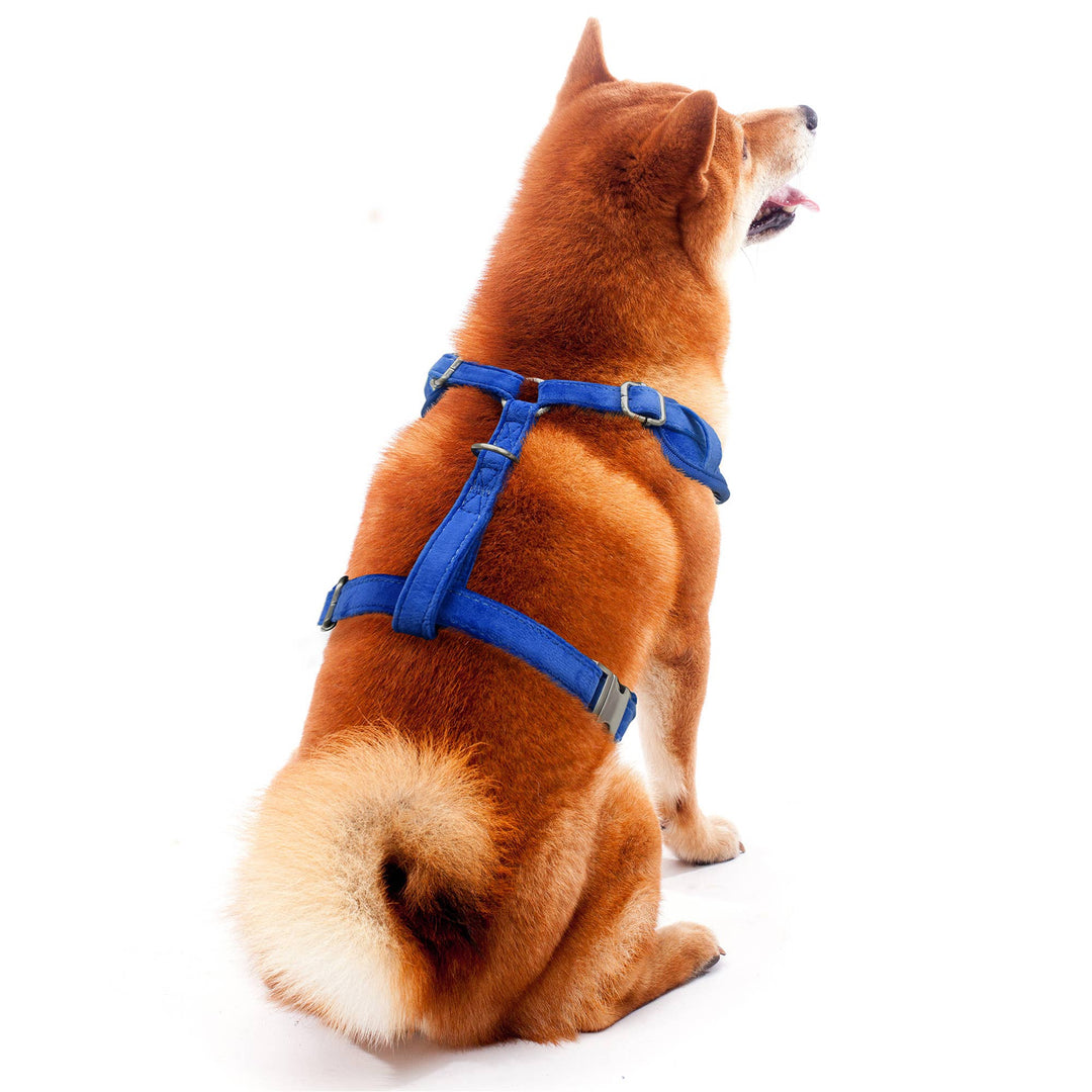 Little Earth Productions - MLB New York Mets Velvet Pet Harness: X-Small