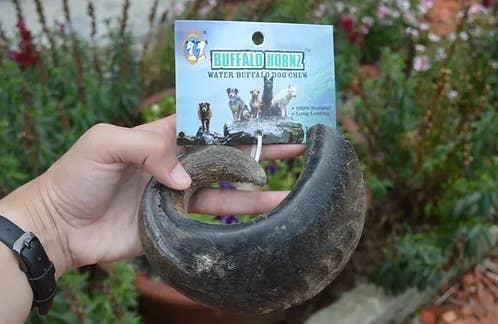 Klearwater Distribution - Water Buffalo Horn Dog Treat / Chew: Small