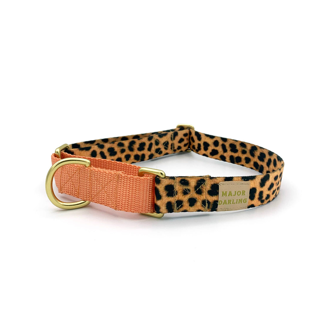 Major Darling - Leopard Print with Peach Martingale Collar: Large