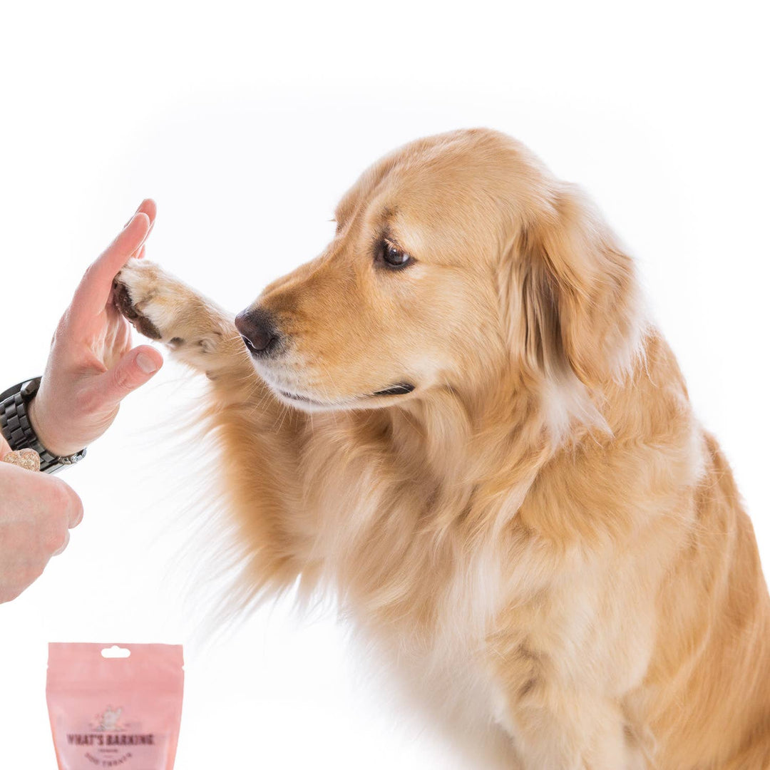 Coconut Salmon Soft Chew Dog Treats, 2.5oz Case