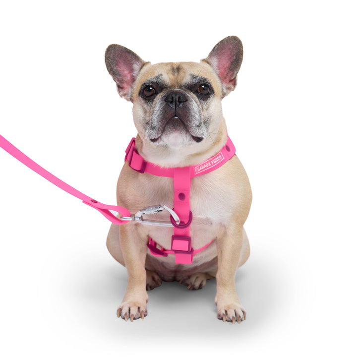 Canada Pooch - Waterproof Dog Harness (Pink)