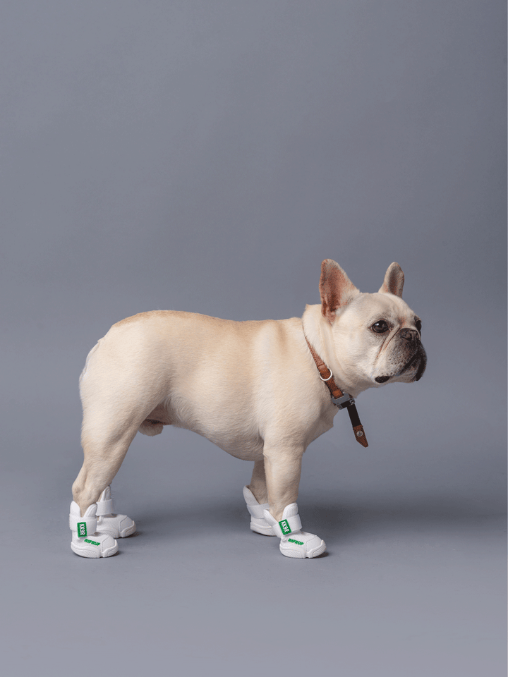 RIFRUF - Caesar 1 KK9R: KK9R / 4